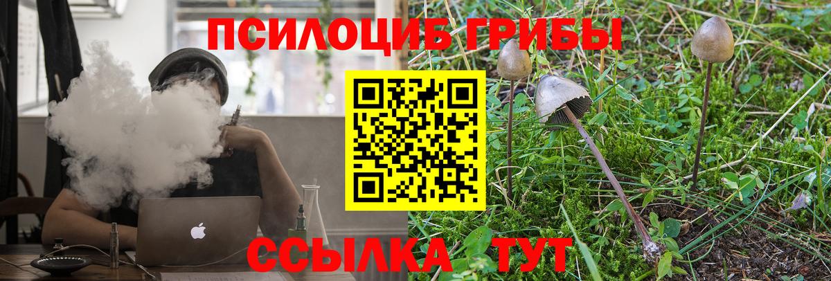 Галлюциногенные грибы Magic Shrooms  Вход с VPN  Ногинск 