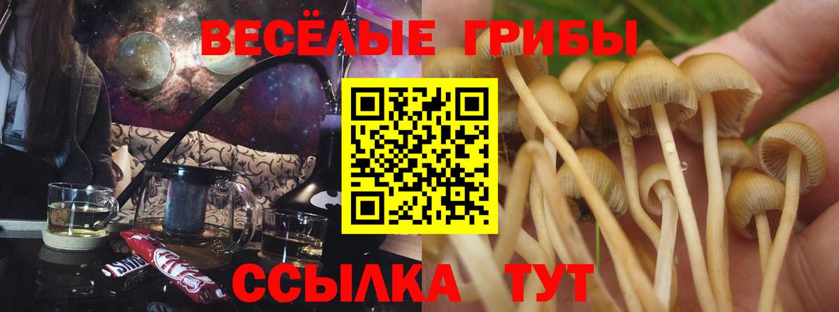 Галлюциногенные грибы мицелий Ногинск
